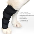 thumbnail image 2 of Billuyoard Dog Hock Brace Pet Supporting Rear Dog Compression Leg Joint Wrap protege heridas y lesiones Ropa para mascotas talla M Billuyoard PT001495-01, 2 of 6