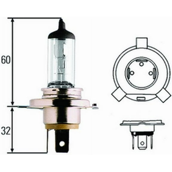 BULB 24V 100/90W P43T T4.