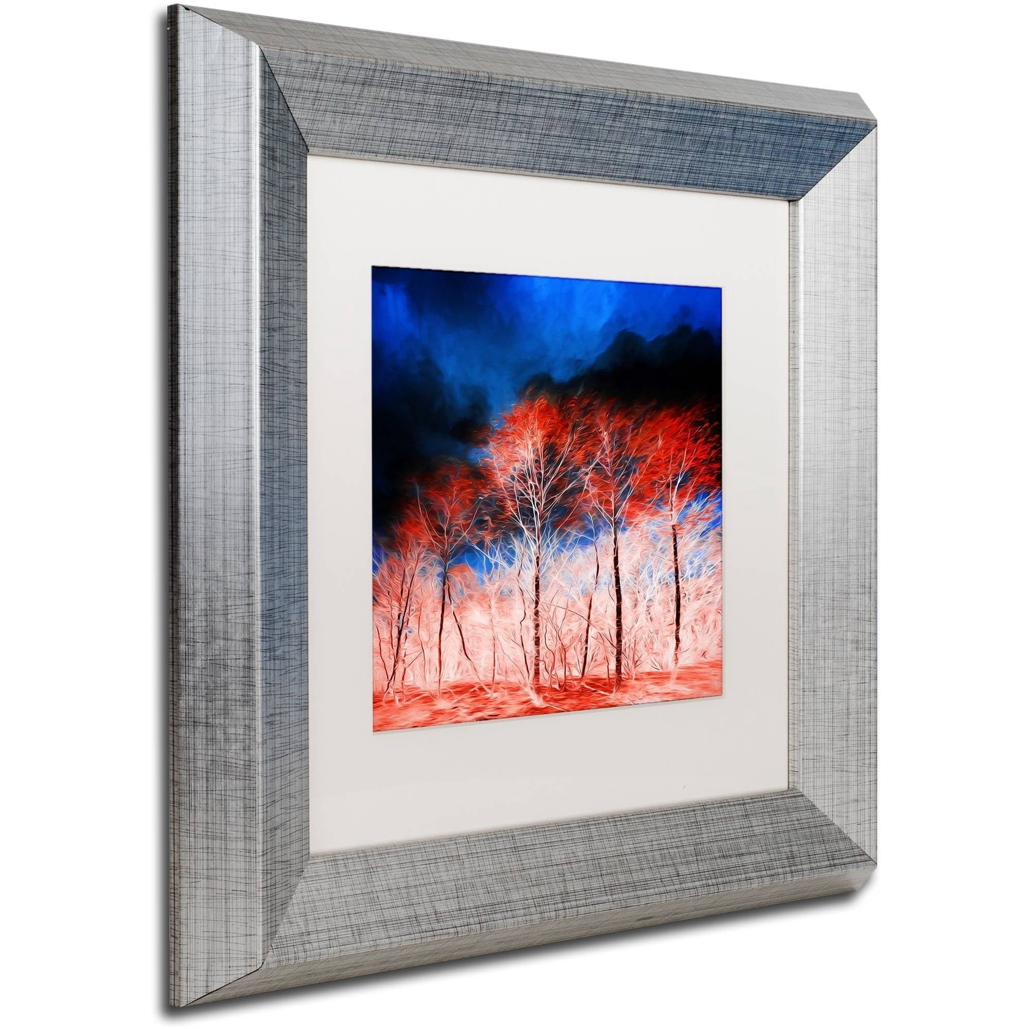 Trademark Fine Art "The Worst Is Yet To Come" Canvas Art by Philippe Sainte-Laudy White Matte, Silver Frame