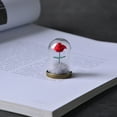 thumbnail image 5 of Rose Flower in Glass Dome Decorative Preserved Flower Adornment with Gift Box, 5 of 6