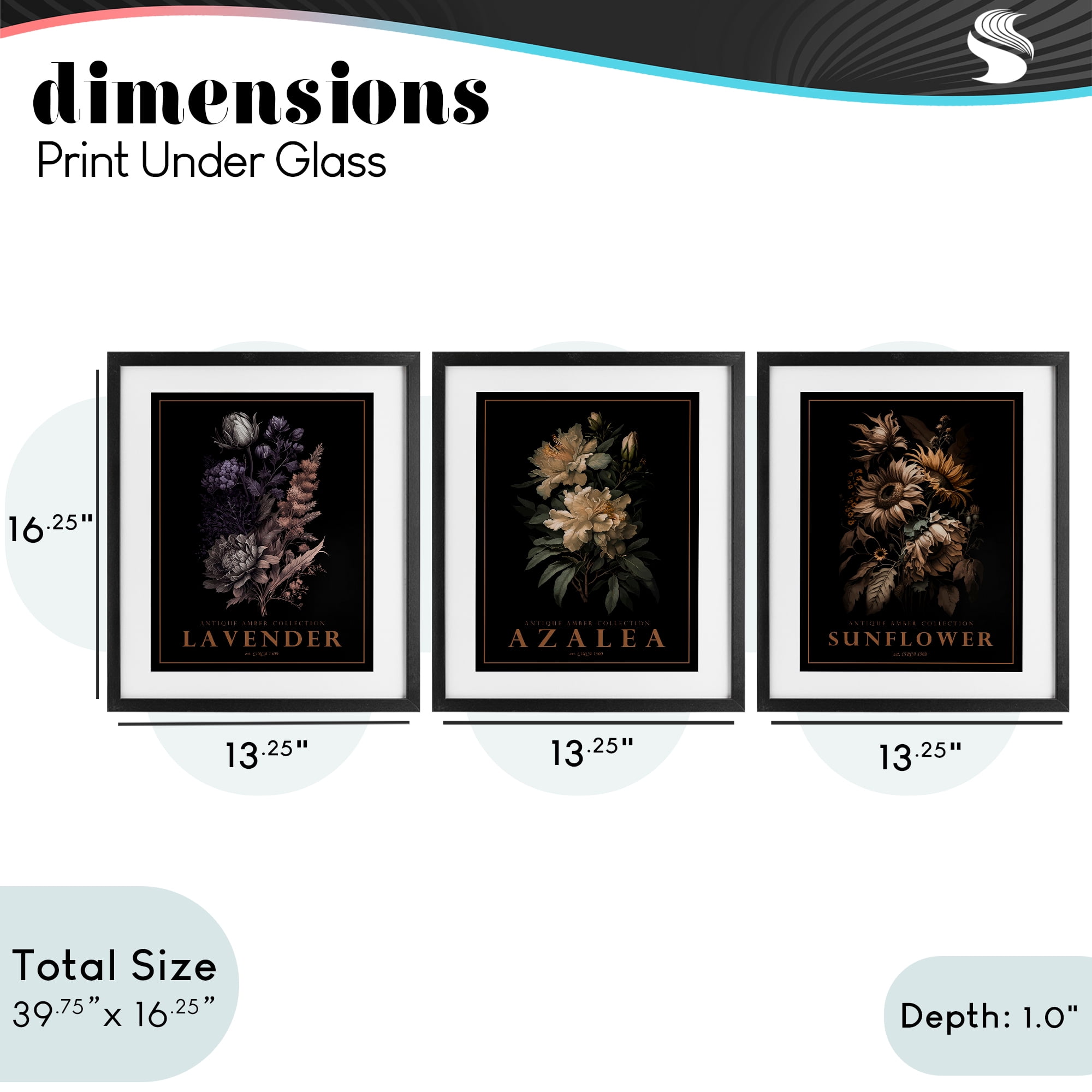 Stupell Industries Antique Botanical Herb Bushels 3 Piece Black Framed Print Under Glass Set, design by Christopher Giampietro