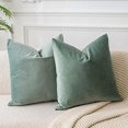 thumbnail image 1 of Chenchen Sage Velvet Throw Pillow Covers 16x16 inch Set of 2 for Living Room Couch Sofa Bedroom Decorative Square Solid Soft Cushion Cases with Invisible Zipper, 1 of 1