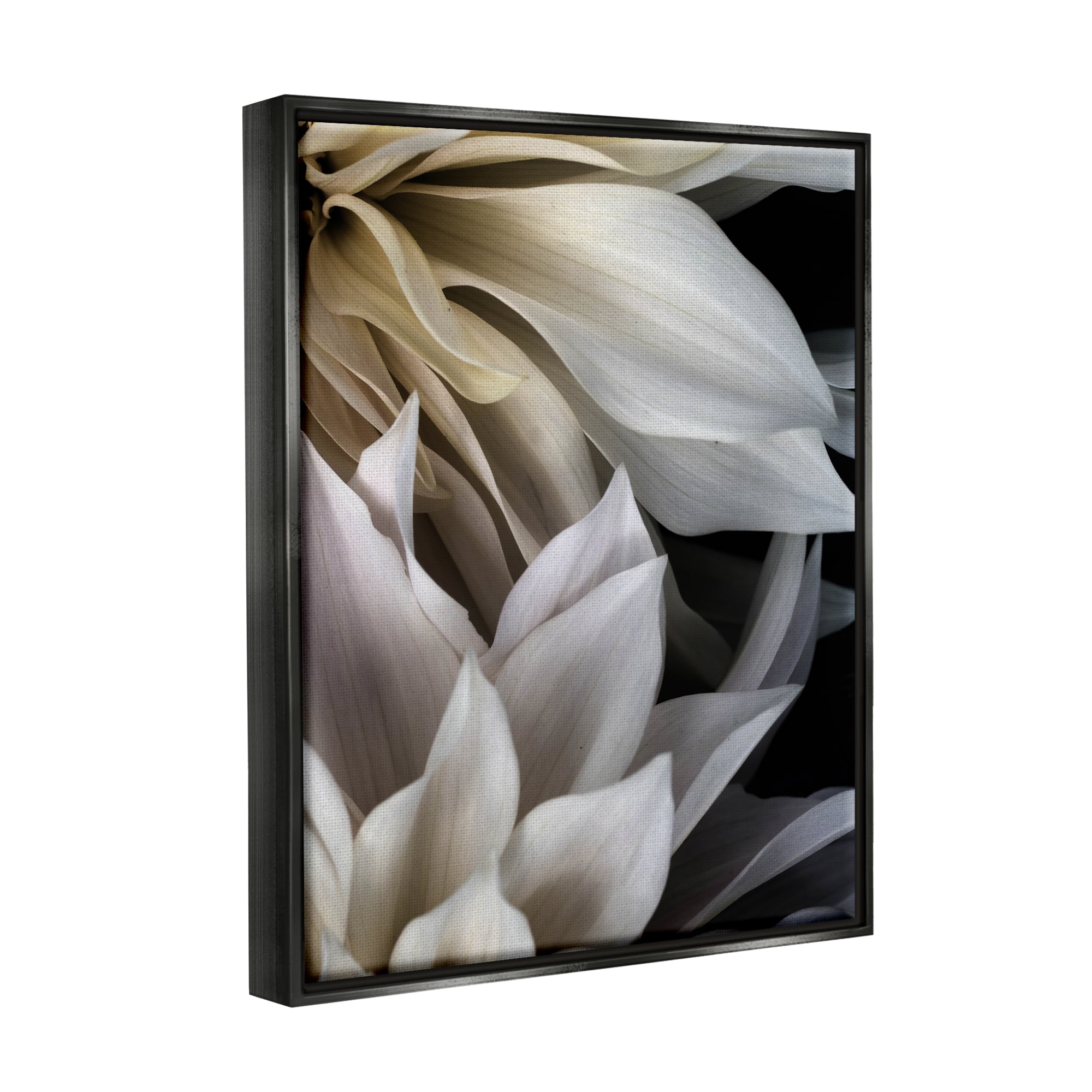 Stupell Industries Grey Dahlia Petals Botanical & Floral Photography Black Floater Framed Art Print Wall Art, 17 x 21