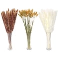 thumbnail image 2 of 80 piezas Hierba de pampas seca 17 pulgadas Decoración de hierba de pampas Hierba de pampas Decoración Boho Flores secas de hierba de pampas alta, 2 of 5