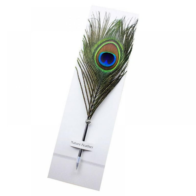 Pen with a feather deals
