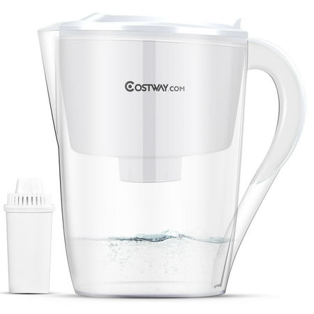 Costway Water Pitcher Filter 10 Cup Capacity BPA Free with 1 Filter Portable (Top 10 Best Water Filters)