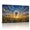 A, variant on XaaKee Elegant Dandelion Seed Head Canvas Wall Art Modern Turbulent Meadow Field Art Prints Inner Framed 18*12Inch