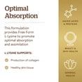 thumbnail image 4 of Suplemento Solgar L-Lisina 500 mg 250 cápsulas vegetales, 4 of 6