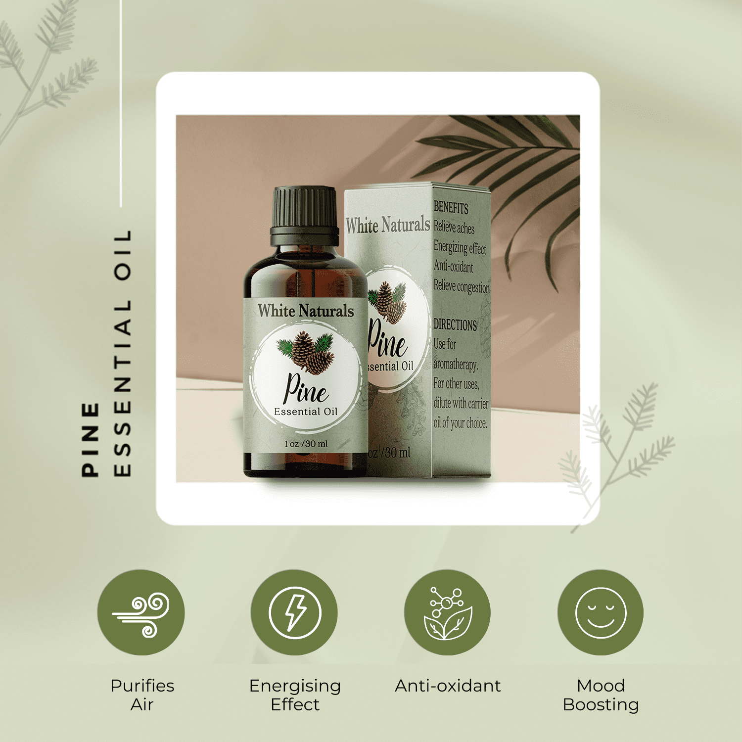 Pine Essential Oil 5ml by Young Living Essential Oils - Uplifting aroma -  Refreshing Breathing Experience - Repels the Influence of Negative Energy 