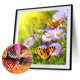 thumbnail image 1 of Cuadros Decorativos Diamante bordado mariposa flores redondo DIY diamante pintura decoración del hogar JShteea Nuevos Originales, 1 of 7
