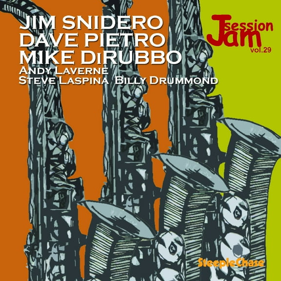 Mike Dirubbo - Jam Session, Vol. 29 - Music & Performance - CD