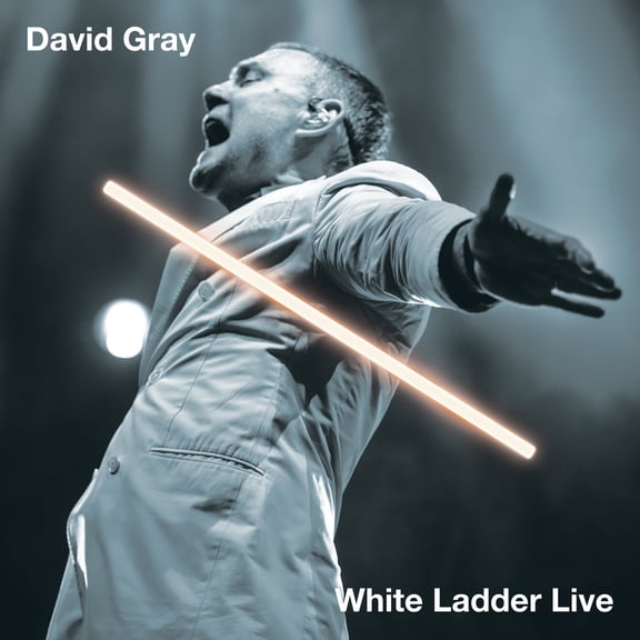 David Gray White Ladder Live (Vinyl Record) 12" Album