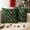Green, variant on Christmas Tree Decorative Throw Pillow Covers Set of 2, 18x18" Soft Fluffy Pillow Cases, Faux Fur Fuzzy Pillows Covers Winter Holiday Cushion Cases for Sofa Couch Bedroom Living Room Home Décor
