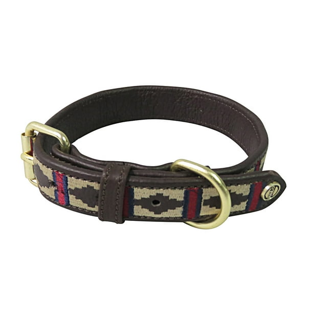 HALO DOG COLLOR LEATHER WITH CLASSIC DOG COLLAR