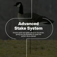thumbnail image 2 of Avian X AXP Honkers Fusion Pack Decoys Bundled with Lessers 6 Piece Fusion, 2 of 12