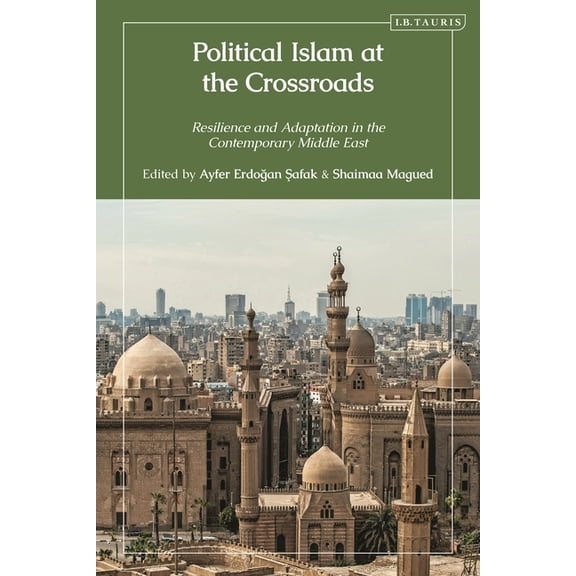 Political Islam at the Crossroads: Resilience and Adaptation in the Contemporary Middle East, (Hardcover)