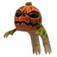 thumbnail image 1 of Accesorio de disfraz de títere de calabaza de Halloween para sentarse en el hombro, de látex, para adultos y niños, decoración de broma para, 1 of 8
