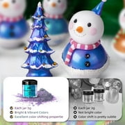 LET'S RESIN Chameleon Mica Powder, 10 * 5g Color Shifting Mica for Epoxy Resin/Tumbler, Saturated Chrome Pigment for Oil Painting,Slime,Nails