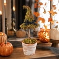 thumbnail image 7 of Byndra Halloween Witch Hat Topiary, Halloween Decorations Indoor Outdoor Rustic Farmhouse Decor, 8.7 Inch Plastic Moss Pot Tabletop Ornament for Tiered Tray, Mantel, Shelf, 7 of 7