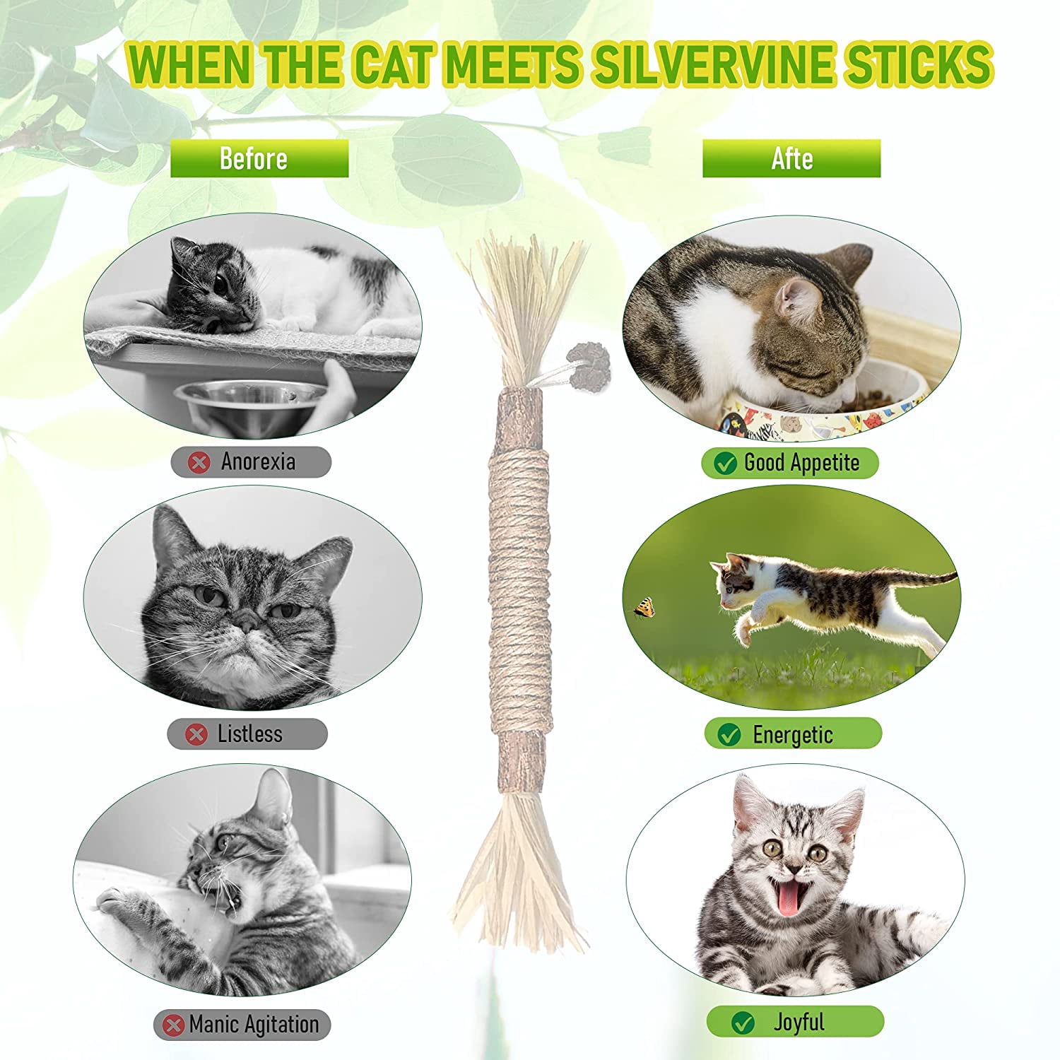5 Pack Silvervine Cat Toy, Silvervines Sticks Cat Toys for Indoor Cats, Cat & Kitten Chew Toys for Aggressive Chewers, Cat Dental Toy for Kitten Teeth Cleaning, Matatabi Silvervine for Cats