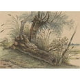 thumbnail image 2 of George Pieter Westenberg 14x11 Black Ornate Wood Framed Double Matted Museum Art Print Titled: Tree Stump in the Riet (1801 - 1873), 2 of 5