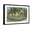 Black Frame, variant on Art.com Eola Park, Orlando, Florida Art Print, 36" x 24"