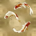 thumbnail image 2 of Blake, Madeline 26x26 White Modern Wood Framed Museum Art Print Titled - Koi on Gold I, 2 of 4