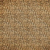 Ottertex Canvas Waterproof Printed - Cheetah