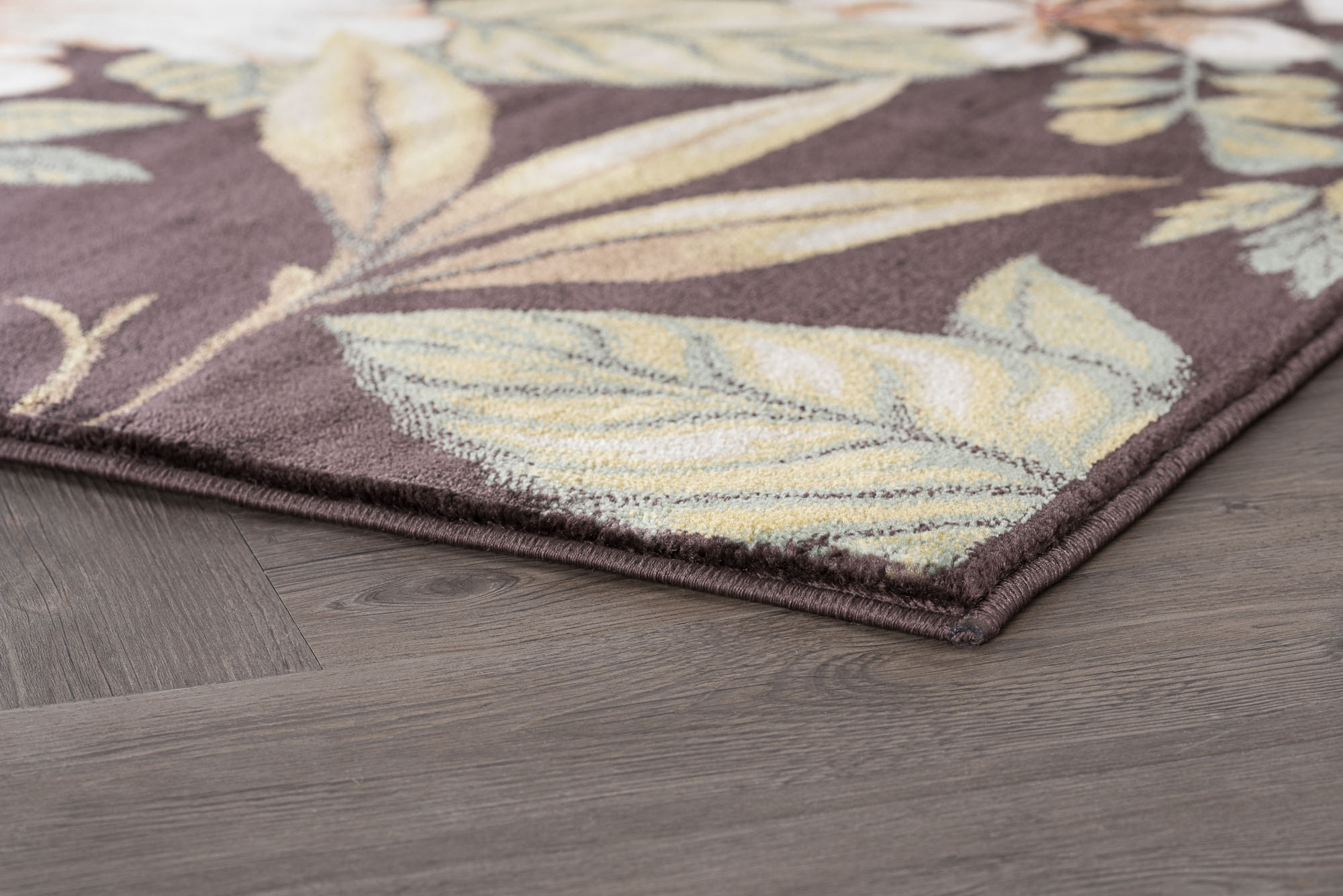 Transitional 5x8 Area Rug (5'3'' x 7'3'') Floral Brown, Creamy Ivory Living Room Easy to Clean