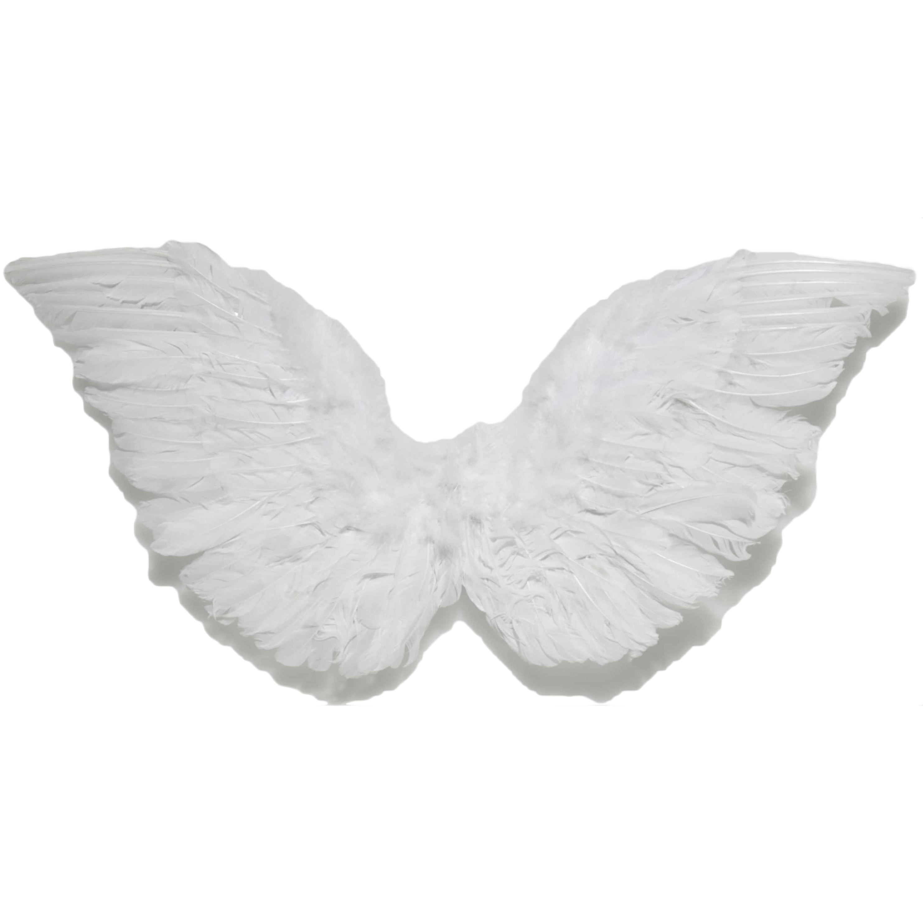 White Small Angel Wings 18 X 18 - Walmart.com