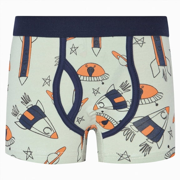WUANDIXFA Potty Training Boxer Briefs for Boys for 2-12 Years, Seamless Organic Cotton, Cute Cartoon Pattern Kids Underwear for Toddler Boys Light Green,8-9 Years