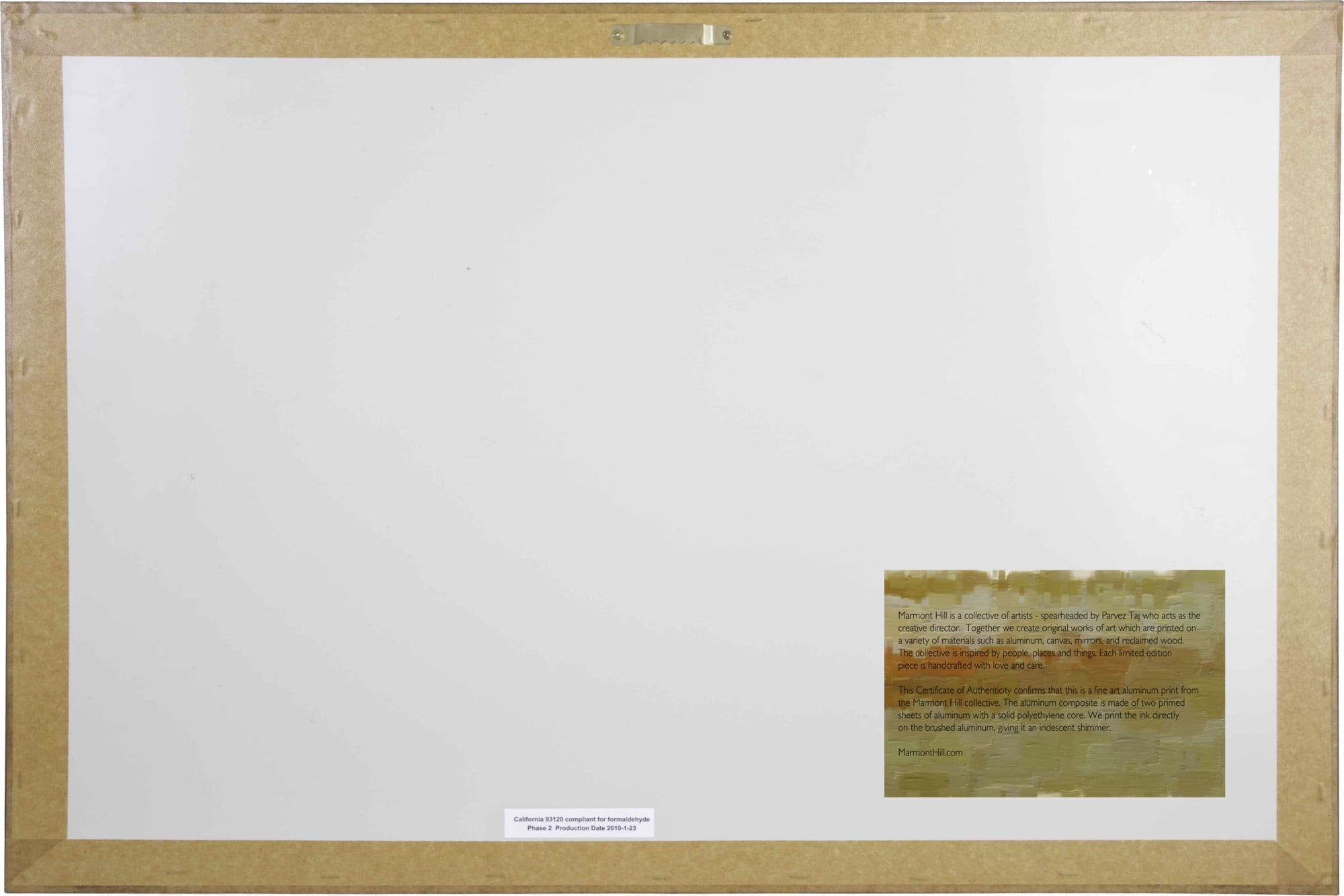 Parvez Michel Inc Parvez Taj 'Topographical Map' Print on Brushed Aluminum