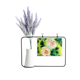 thumbnail image 1 of Fascinacion Pintura de flores Tarjeta de jarrón de lavanda artificial, 1 of 3