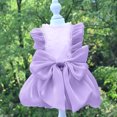 thumbnail image 3 of CBFFDC Dress Up Adorable Pet Spring Supply Soft Comfortable Stylish Flowing Gauze And Bowknot, 3 of 6