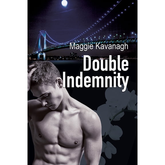 The Stonebridge Mysteries Double Indemnity, Book 1, (Paperback)