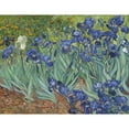 thumbnail image 3 of Van Gogh, Vincent 14x12 Black Modern Framed Museum Art Print Titled - Irises, 1889, 3 of 5