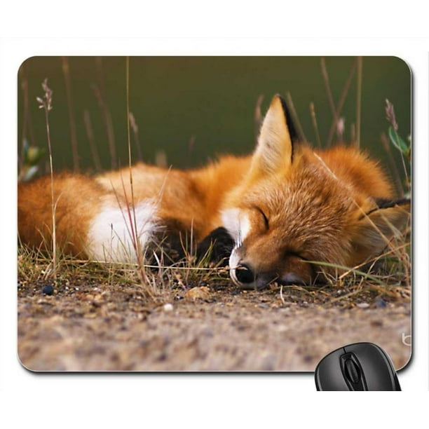 POPCreation Fox Mouse pads Gaming Mouse Pad 9.84x7.87 inches Walmart
