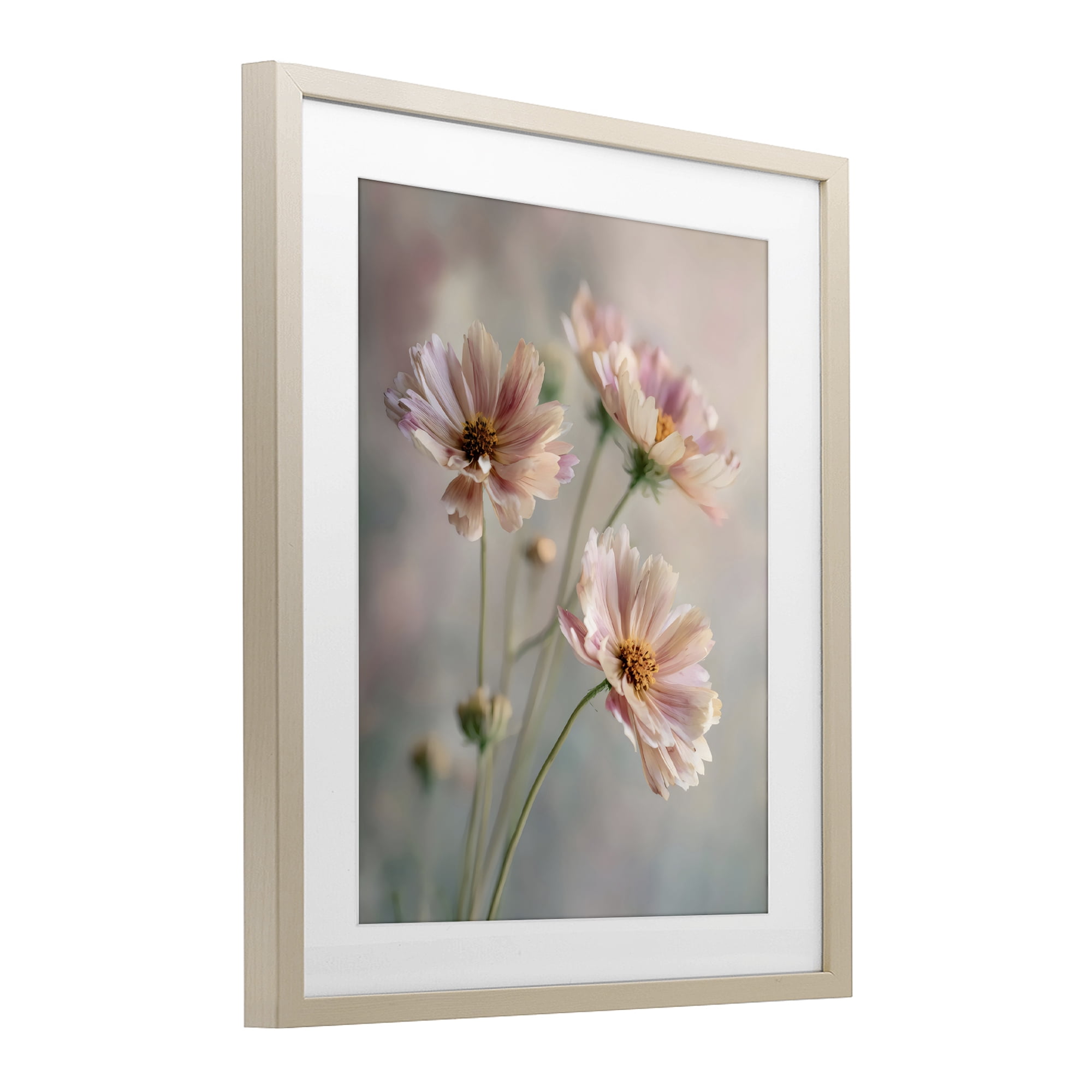 Stupell Industries Pink Daisies Close Up Birch Framed Print Under Glass, design by Franklyn Gregory
