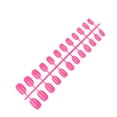 thumbnail image 1 of Uñas postizas Minnieouse 24 piezas de ataúd sólidas acrílicas para amantes de la manicura Tipo15, 1 of 4