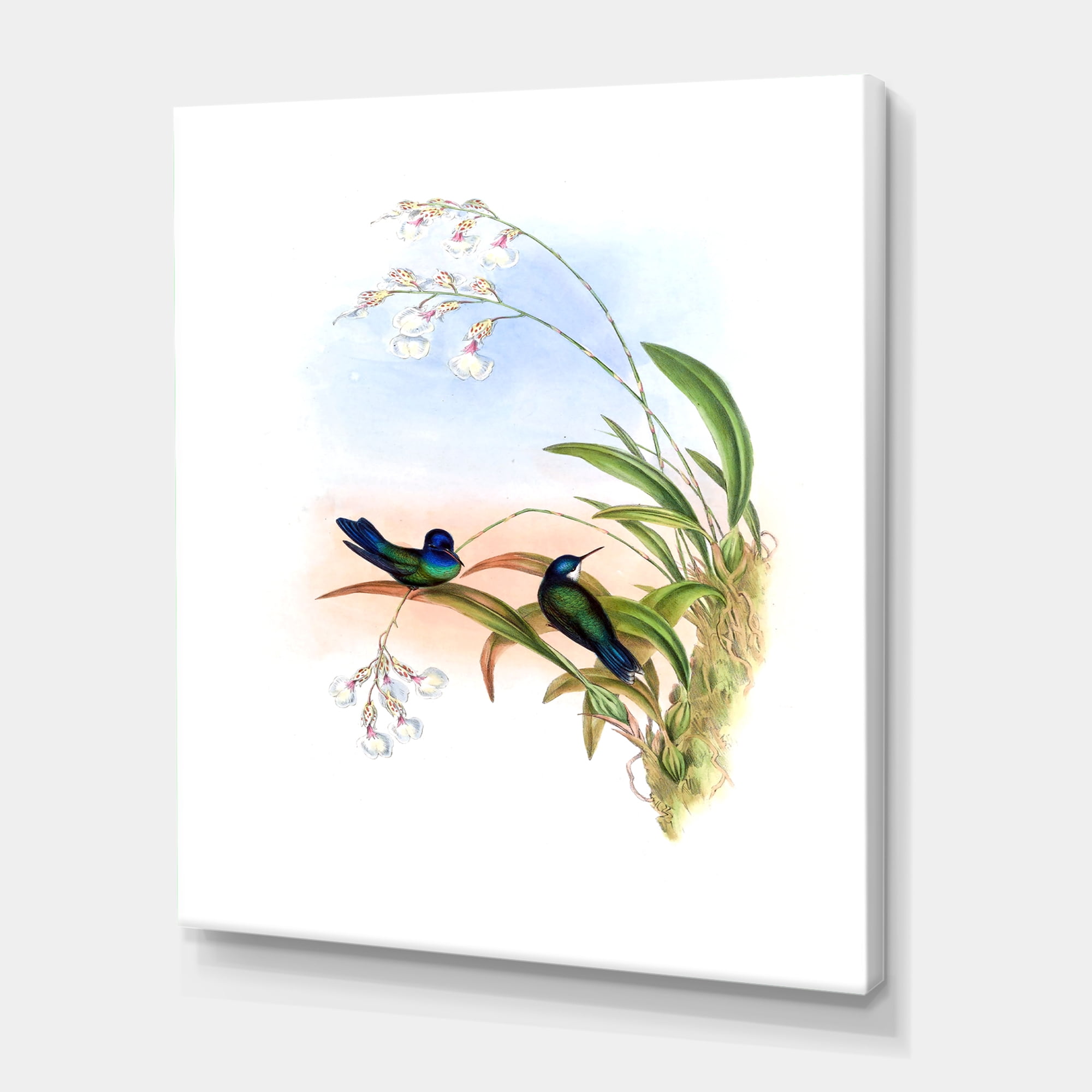 Designart ' Ancient Hummingbird III ' Traditional Canvas Wall Art Print