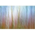 thumbnail image 2 of Jaynes Gallery 18x13 Black Ornate Wood Framed with Double Matting Museum Art Print Titled - USA-Washington State-Seabeck Alder forest abstract, 2 of 4