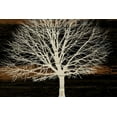 thumbnail image 2 of Stimson, Diane 24x17 Black Ornate Wood Framed with Double Matting Museum Art Print Titled - Night Tree, 2 of 4