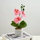 thumbnail image 2 of Cateissary Flores artificiales de orquídeas de plástico, maceta de flores artificiales, Phalaenopsis Artificial Decoración Rosa, 2 of 6