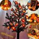 thumbnail image 2 of Guirnalda de otoño, decoración de otoño Ainkedin, 30 luces de hadas, hojas de otoño Gugirlande, decoración de Navidad de Halloween, decoración de acción de gracias, pared Dec. Afortunado Sencillez, 2 of 4