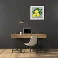 thumbnail image 3 of Augustine, Jodi 12x12 White Modern Wood Framed Museum Art Print Titled - Fruit Sketch Lemons, 3 of 4