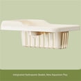 thumbnail image 3 of Living room turtle feeding box household transparent small office desktop, 3 of 7