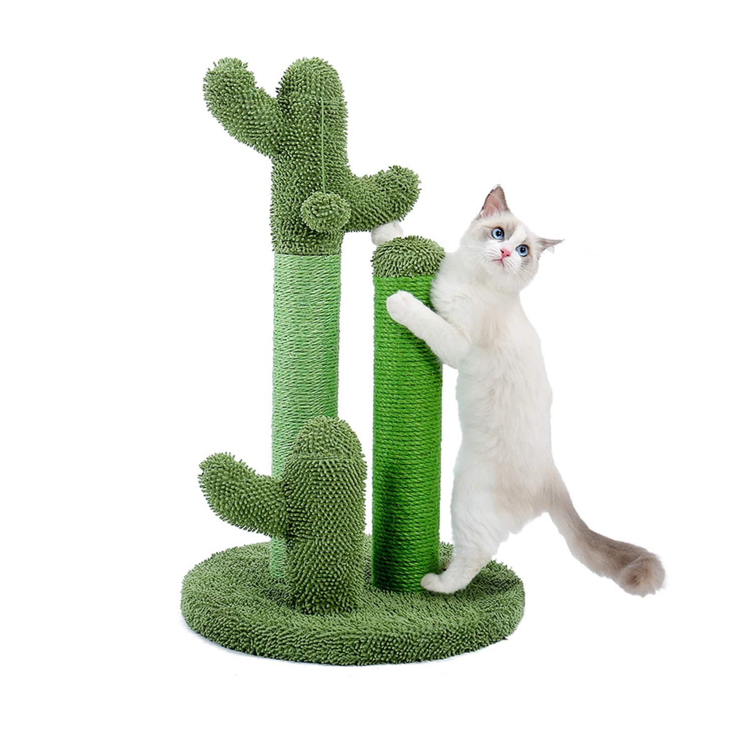 Pefilos Cat Scratching Post for Indoor - Cat Scratching Post for Adult Cats Cactus Sisal Rope Cat Scratcher with Hanging Ball Cat Scratching Post for Furniture, Green Pefilos Cat Scratching Post for Indoor - Cat Scratching Post for Adult Cats Cactus Sisal Rope Cat Scratcher with Hanging Ball Cat Scratching Post for Furniture, Green