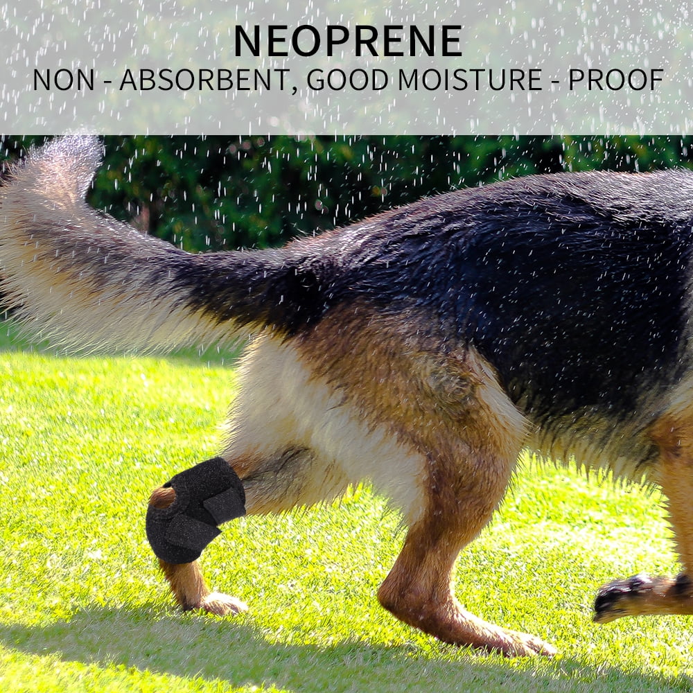 dog bandage protector