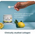 thumbnail image 4 of Ancient Nutrition Creatine + Collagen + Electrolytes Powder, 5g Creatine Monohydrate, Muscle Strength & Joint Support, Lemon, 30 Servings, 4 of 7