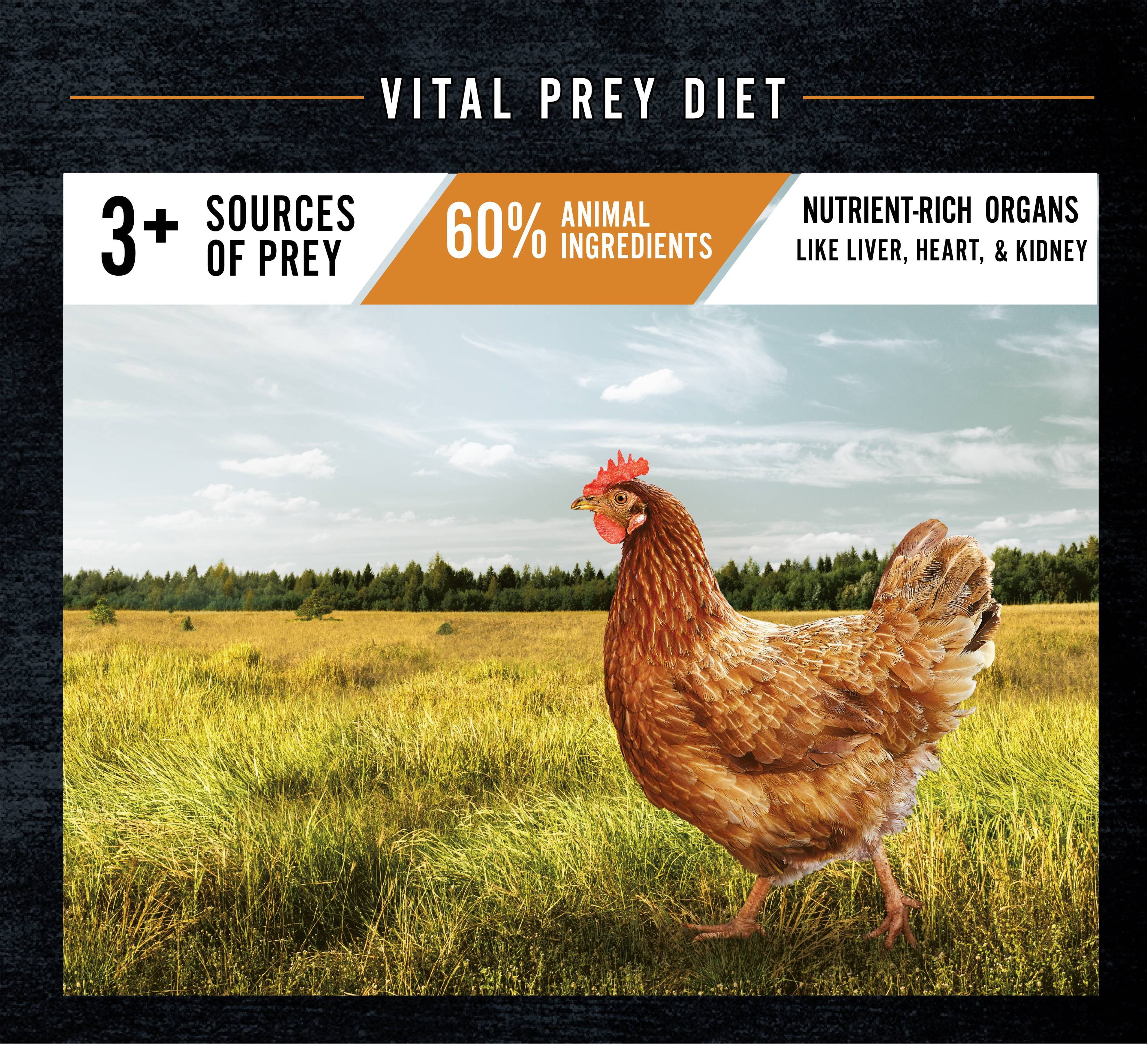 Wild frontier vital prey dog food cheap